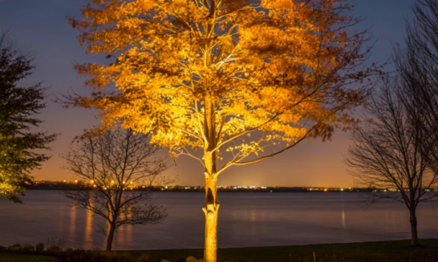 Coastal Source Outdoor Lighting