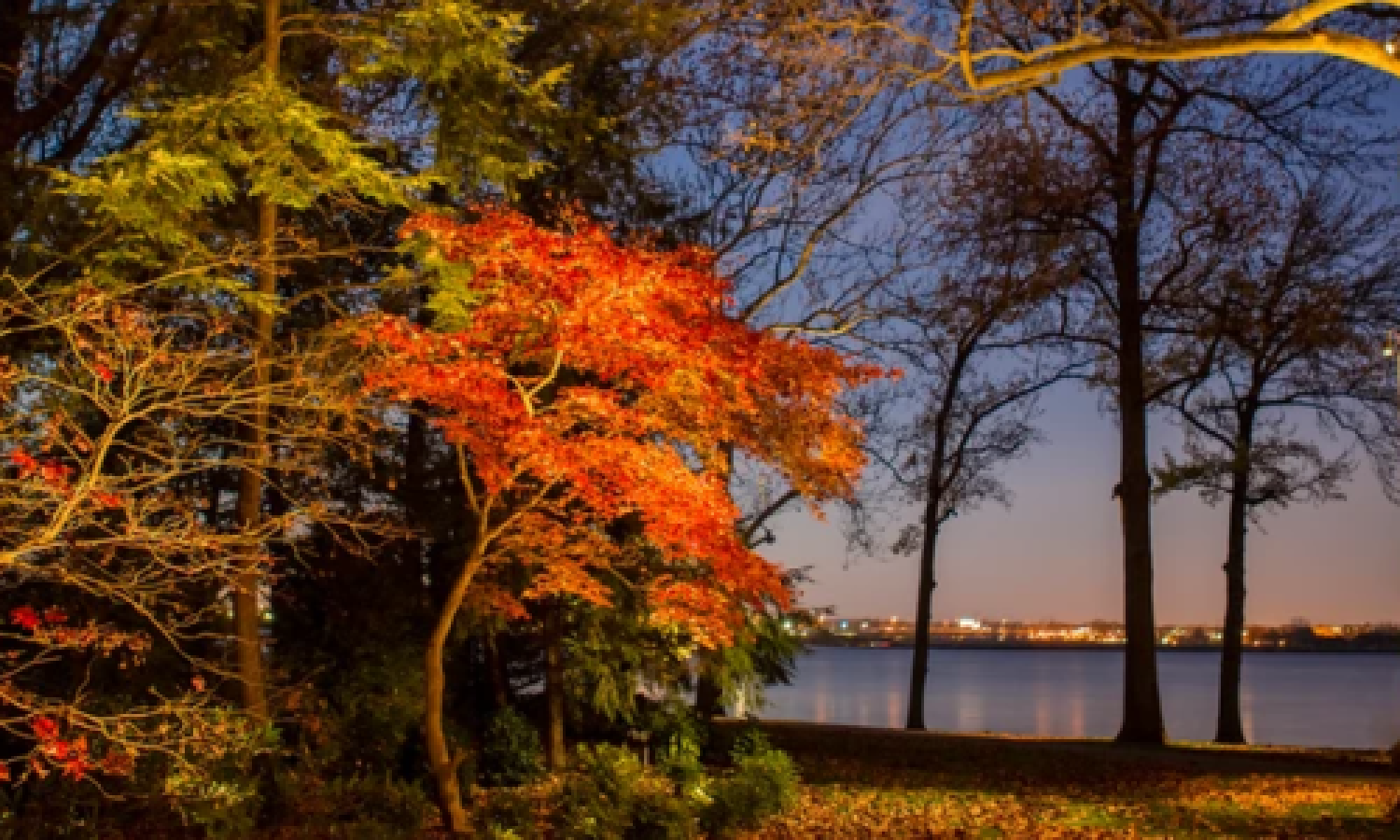 Coastal Source Outdoor Lighting