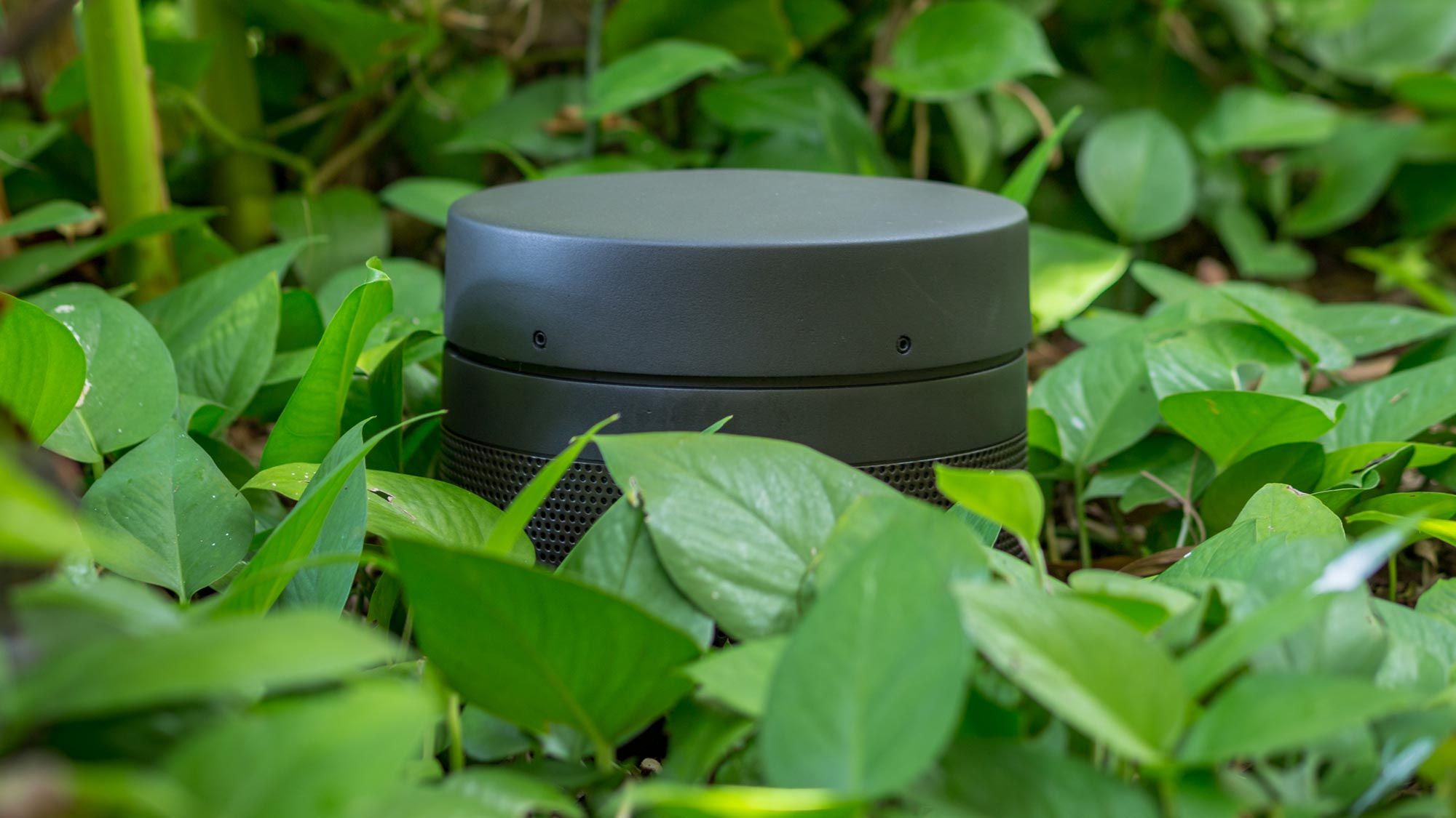 Choose free-standing Ellipse Bollard speakers for the patio and deck or blend bullet speakers among your landscape for hidden yet powerful performance.